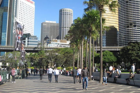 Private City Walking Tour From Your Hotel - Northern Rivers Accommodation 2