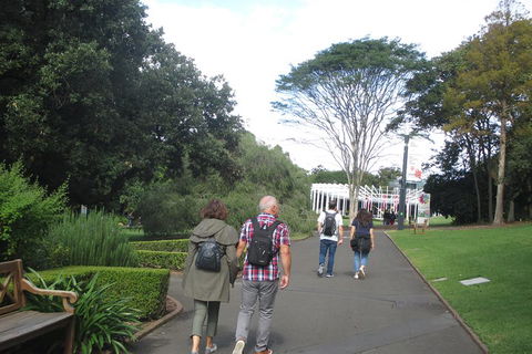 Private City Walking Tour From Your Hotel - Northern Rivers Accommodation 3
