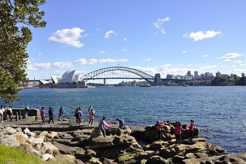 Sydney Sightseeing Bus Tours - Northern Rivers Accommodation 2