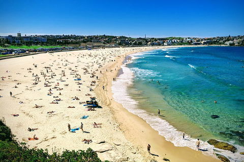Sydney & Bondi Beach Plus Local Secrets With 'Personalised Sydney Tours' - Northern Rivers Accommodation 5