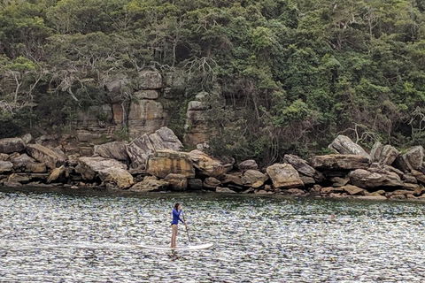 Manly & Sydney's Northern Beaches With 'Personalised Sydney Tours' - Northern Rivers Accommodation 3