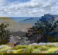 Blue Mountains Private Tour - wild kangaroos waterfalls and The Three Sisters - Northern Rivers Accommodation
