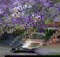 Sydney Secrets  Bondi Beach Private 4 Hr Morning with Personalised Sydney Tours - Northern Rivers Accommodation