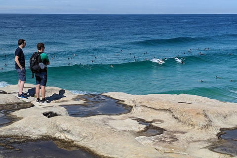 Sydney Secrets & Bondi Beach Private 4 Hr Morning With Personalised Sydney Tours - Northern Rivers Accommodation 2