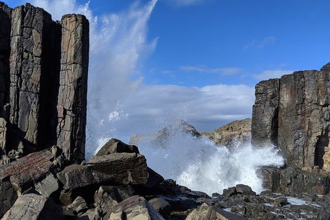 Erupting Blowholes And Ancient Rainforests With 'Personalised Sydney Tours' - Northern Rivers Accommodation 0