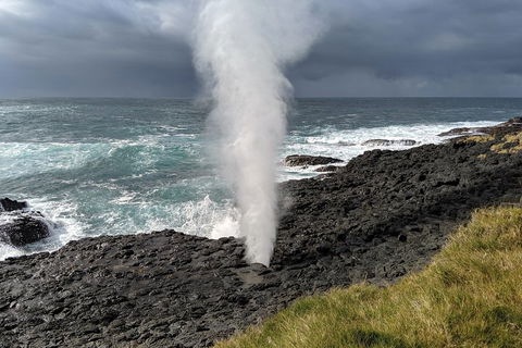 Erupting Blowholes And Ancient Rainforests With 'Personalised Sydney Tours' - Northern Rivers Accommodation 1