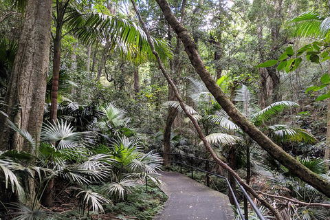 Erupting Blowholes And Ancient Rainforests With 'Personalised Sydney Tours' - Northern Rivers Accommodation 2