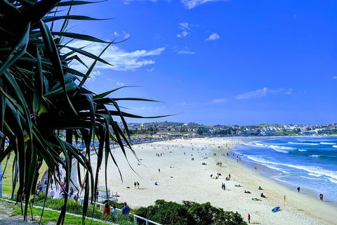 Sydney Secrets & Bondi Private 4 Hour Afternoon With 'Personalised Sydney Tours' - Northern Rivers Accommodation 0