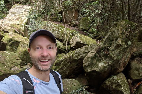 Australian Wildlife & Waterfalls Private Tour With 'Personalised Sydney Tours' - Northern Rivers Accommodation 4