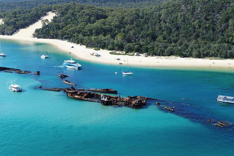 All Inclusive Dolphin And Tangalooma Wrecks Cruise - Northern Rivers Accommodation 4