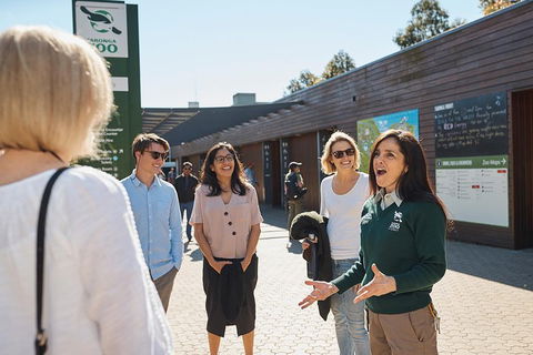 Sydney Taronga Zoo's Australian Animals Tour - Northern Rivers Accommodation 1