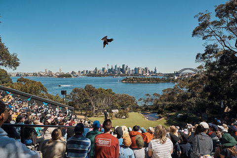 Sydney Taronga Zoo's Australian Animals Tour - Northern Rivers Accommodation 5