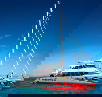 Passions of Paradise Great Barrier Reef Snorkel and Dive Cruise from Cairns by Luxury Catamaran - Northern Rivers Accommodation
