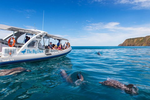 Victor Harbor And McLaren Vale Wine Region Day Tour - Northern Rivers Accommodation 1