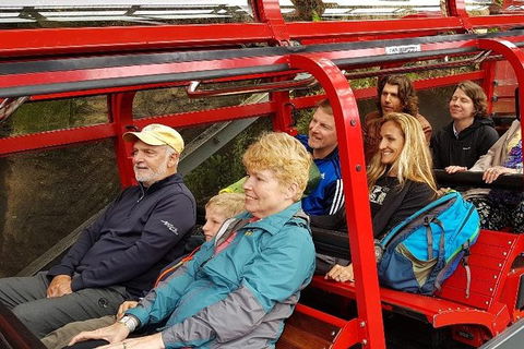 Blue Mountains Ultimate One-Day Tour - Northern Rivers Accommodation 0