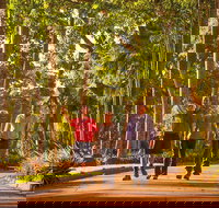 Darwin City Sights and Jumping Crocodile Cruise - Northern Rivers Accommodation