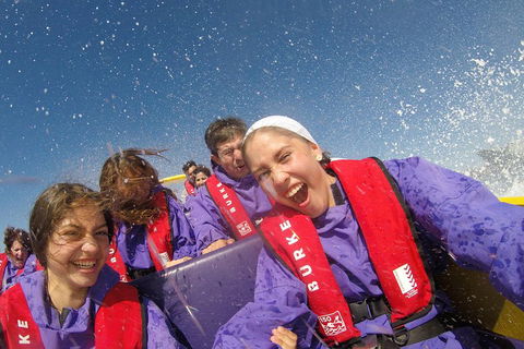 45 Minute Extreme Adrenaline Rush Ride - Northern Rivers Accommodation 3