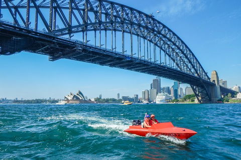 Sydney Speed Boat Adventure Harbour Tour - Northern Rivers Accommodation 5