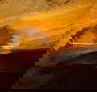 From the Mountains to the Bay - 4 Day Rediscovery Small Group Tour - Northern Rivers Accommodation