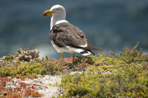 From The Mountains To The Bay - 4 Day Rediscovery Small Group Tour - Northern Rivers Accommodation 1