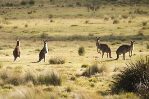 From The Mountains To The Bay - 4 Day Rediscovery Small Group Tour - Northern Rivers Accommodation 4