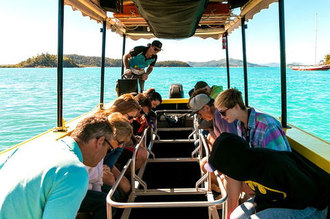 Airlie Beach Glass Bottom Boat Tour - Northern Rivers Accommodation 1