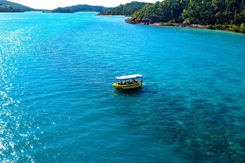 Airlie Beach Glass Bottom Boat Tour - Northern Rivers Accommodation 2