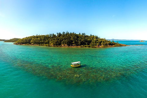Airlie Beach Glass Bottom Boat Tour - Northern Rivers Accommodation 3