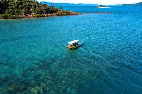 Airlie Beach Glass Bottom Boat Tour - Northern Rivers Accommodation 4