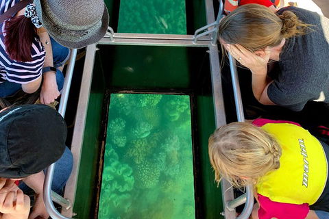 Airlie Beach Glass Bottom Boat Tour - Northern Rivers Accommodation 5