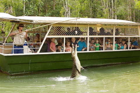 Hartley's Crocodile Adventure Half-Day Tour - Northern Rivers Accommodation 0