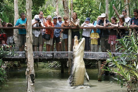 Hartley's Crocodile Adventure Half-Day Tour - Northern Rivers Accommodation 1