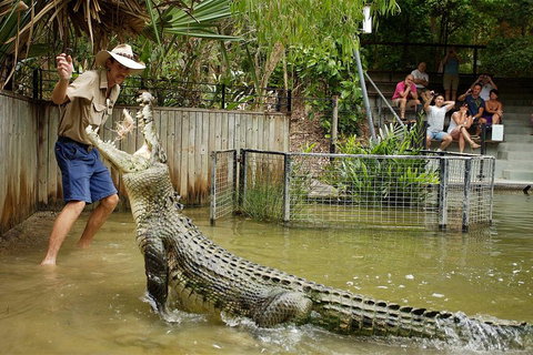 Hartley's Crocodile Adventure Half-Day Tour - Northern Rivers Accommodation 2