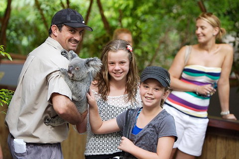 Hartley's Crocodile Adventure Half-Day Tour - Northern Rivers Accommodation 3