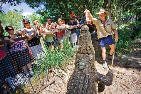 Hartley's Crocodile Adventure Half-Day Tour - Northern Rivers Accommodation 4