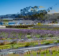 Private Hobart Discover South East Food and Scenic Tour - Northern Rivers Accommodation