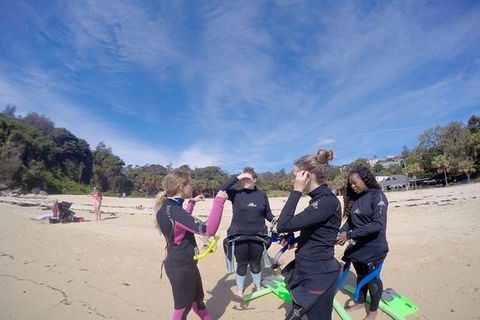 Manly And Shelly Beach Snorkeling Tour - Northern Rivers Accommodation 5