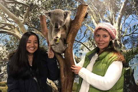 The Ultimate Sydney Attractions Pass - Northern Rivers Accommodation 1