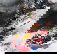 Barron Gorge National Park Half-Day White Water Rafting from Cairns or Port Douglas - Northern Rivers Accommodation