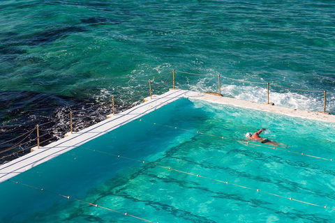 Small Group Essential Sydney Tour Including Lunch - Northern Rivers Accommodation 5