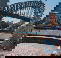 Sydney Food Tour with a Local Guide Private  Personalized  - Northern Rivers Accommodation