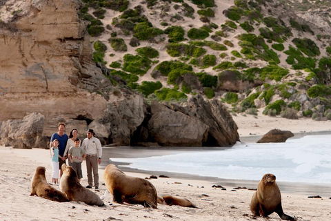Kangaroo Island Scenic Trail Tour - Northern Rivers Accommodation 5