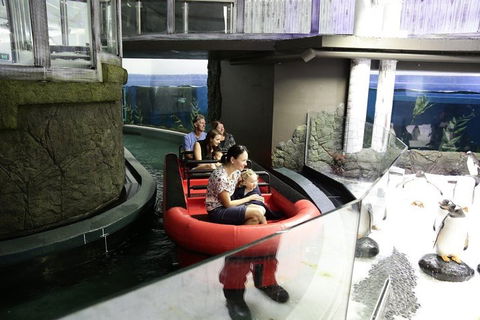 Sydney Attractions Pass: SEA LIFE Aquarium, Sydney Tower Eye, WILD LIFE Zoo And Madame Tussauds - Northern Rivers Accommodation 0
