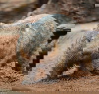 WILD LIFE Sydney Entrance Ticket - Northern Rivers Accommodation