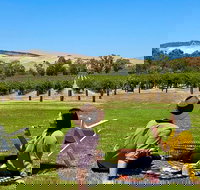 Private Picnic and Wine Tasting Experience in Barossa Valley - Northern Rivers Accommodation