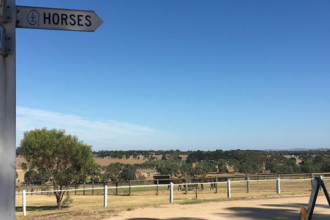 Legends & Champions Tour - Northern Rivers Accommodation 5