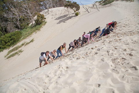 6-Day Tasmanian Explorer Adventure Tour From Hobart - Northern Rivers Accommodation 2