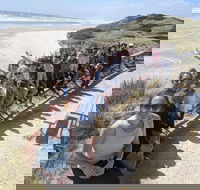 3 Day Tasmanian Wild West Coast Tour from Hobart to Launceston - Northern Rivers Accommodation