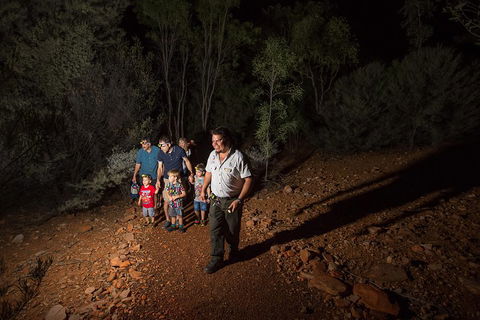 Alice Springs Desert Park Nocturnal Tour - Northern Rivers Accommodation 0