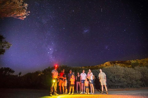 Alice Springs Desert Park Nocturnal Tour - Northern Rivers Accommodation 2